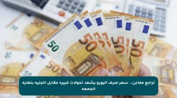 تراجع مفاجئ.. سعر صرف اليورو يشهد تحولات كبيرة مقابل الجنيه بنهاية الجمعة